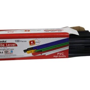 13991 reglette a4 06 mm noir bte de 100 jq0306.jpg