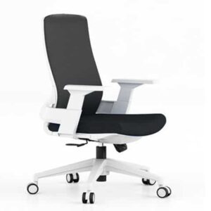 36671 chaise secretaire d1 399bw noireblanc 566796.jpg