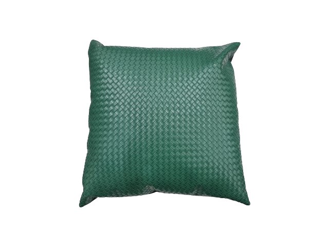 40099 coussin 43x43 ref 01 couleur verte.jpg 40099 coussin 43x43 ref 01 couleur verte.jpg