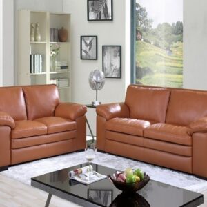 40963 salon cuir 6 places s 131 couleur a101 chocolat.jpg