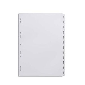6985 intercalaire mensuel avery 210x297 destockage.jpg