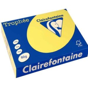 7519 papier a3 clairefontaine couleur jaune.jpg