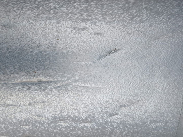 830l r.jpg 830l r.jpg
