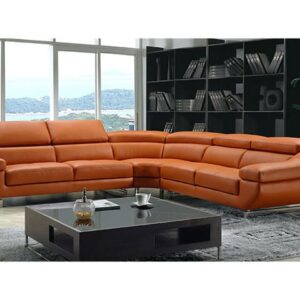 l305 orange.jpg