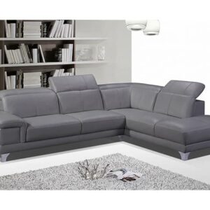 ld 498c gris 2.jpg