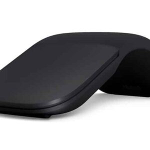 souris3.jpg