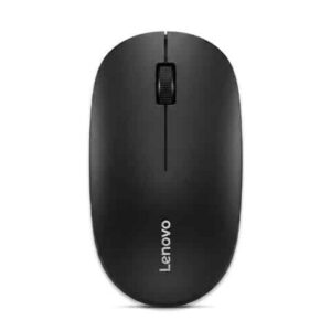 souris8.jpg